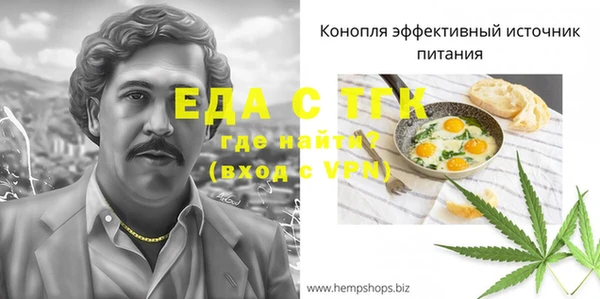 ГАЛЛЮЦИНОГЕННЫЕ ГРИБЫ Дмитриев