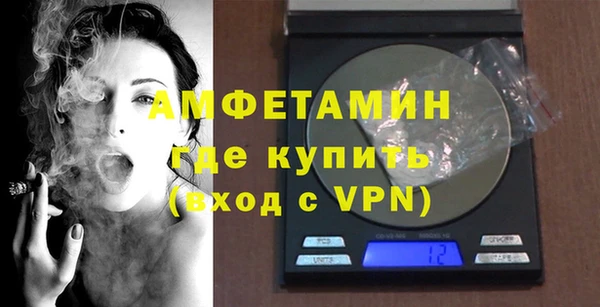 ГАЛЛЮЦИНОГЕННЫЕ ГРИБЫ Дмитриев