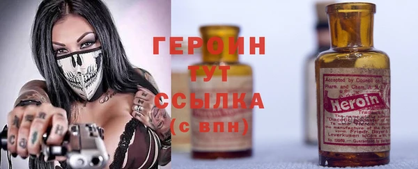 ГАЛЛЮЦИНОГЕННЫЕ ГРИБЫ Дмитриев