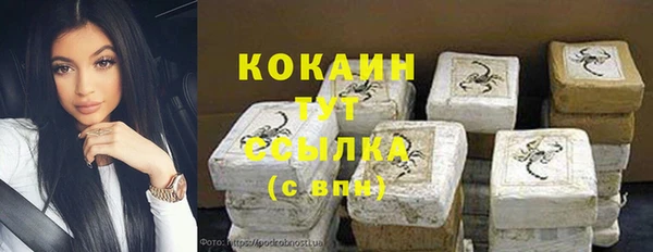 ГАЛЛЮЦИНОГЕННЫЕ ГРИБЫ Дмитриев