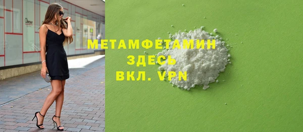 ГАЛЛЮЦИНОГЕННЫЕ ГРИБЫ Дмитриев