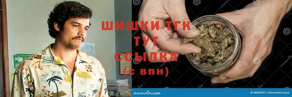 ГАЛЛЮЦИНОГЕННЫЕ ГРИБЫ Дмитриев