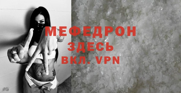ГАЛЛЮЦИНОГЕННЫЕ ГРИБЫ Дмитриев