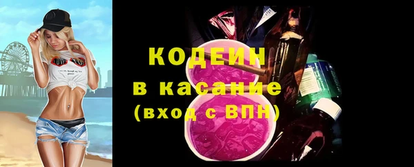 ГАЛЛЮЦИНОГЕННЫЕ ГРИБЫ Дмитриев