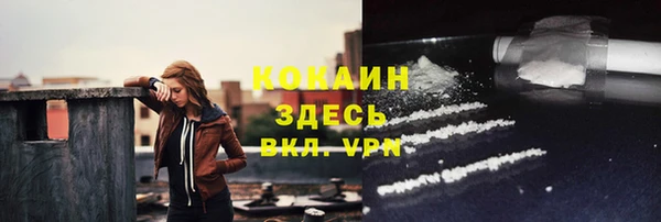 ГАЛЛЮЦИНОГЕННЫЕ ГРИБЫ Дмитриев