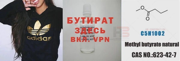 ГАЛЛЮЦИНОГЕННЫЕ ГРИБЫ Дмитриев