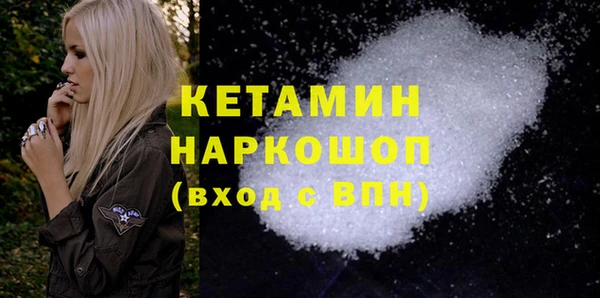 ГАЛЛЮЦИНОГЕННЫЕ ГРИБЫ Дмитриев
