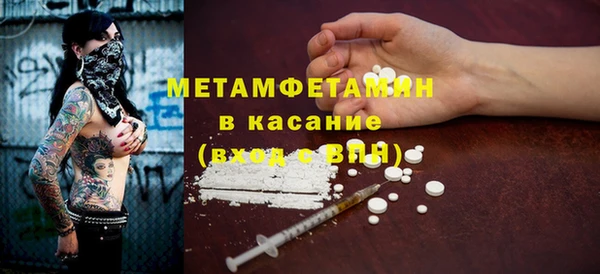 ГАЛЛЮЦИНОГЕННЫЕ ГРИБЫ Дмитриев