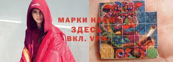 ГАЛЛЮЦИНОГЕННЫЕ ГРИБЫ Дмитриев