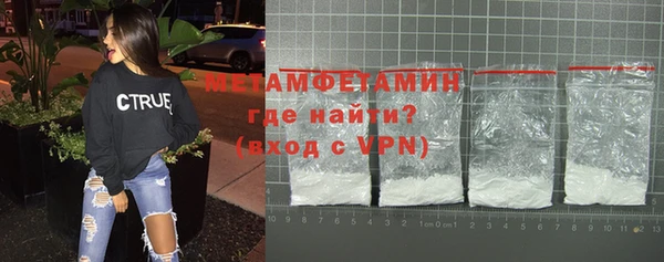 ГАЛЛЮЦИНОГЕННЫЕ ГРИБЫ Дмитриев