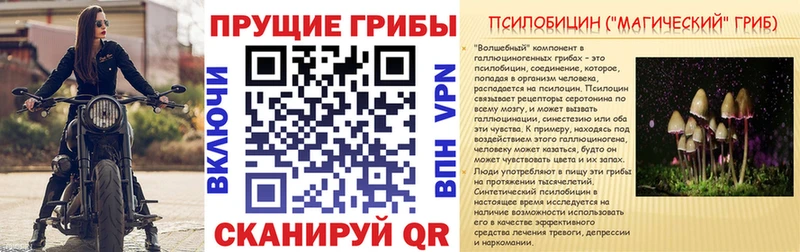 Псилоцибиновые грибы MAGIC MUSHROOMS  Олёкминск 